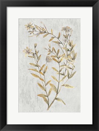 Framed Botanical Gold on White II Print