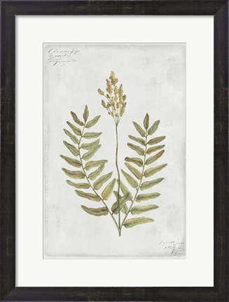 Framed Botanical VI Print