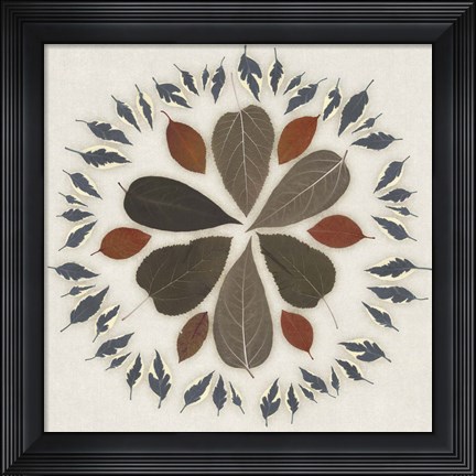 Framed Leaf Pattern II Print
