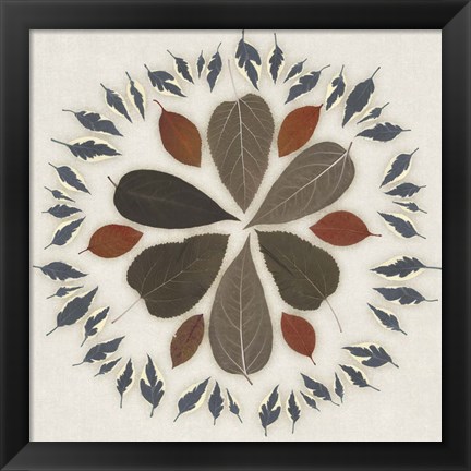 Framed Leaf Pattern II Print