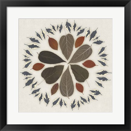 Framed Leaf Pattern II Print