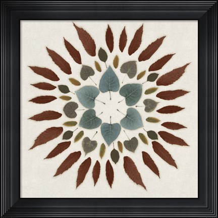 Framed Leaf Pattern III Print