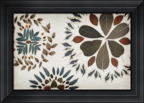 Framed Leaf Pattern V Print