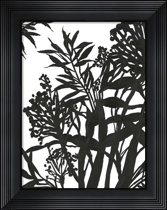 Framed Monochrome Foliage II Print