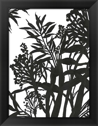 Framed Monochrome Foliage II Print