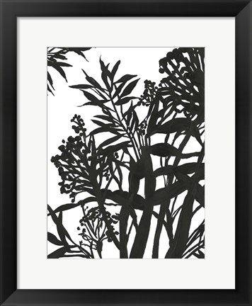 Framed Monochrome Foliage II Print