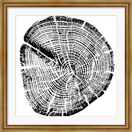 Framed Wood Grain Print