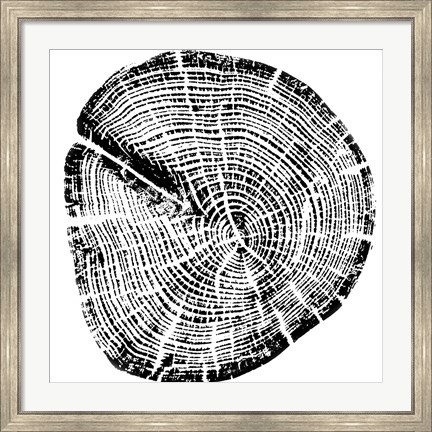 Framed Wood Grain Print