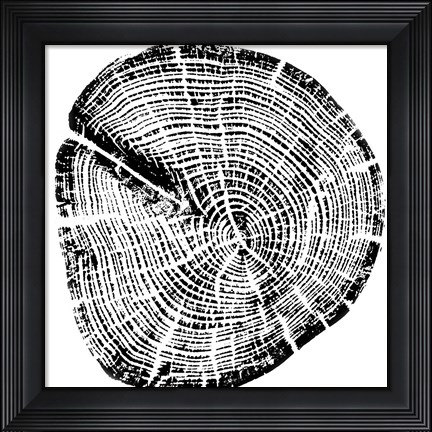 Framed Wood Grain Print