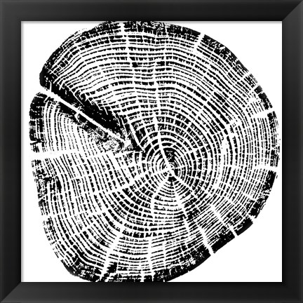 Framed Wood Grain Print