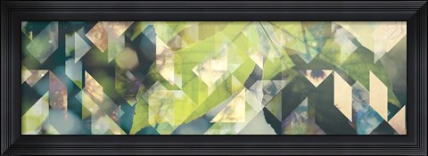 Framed Follicle Print