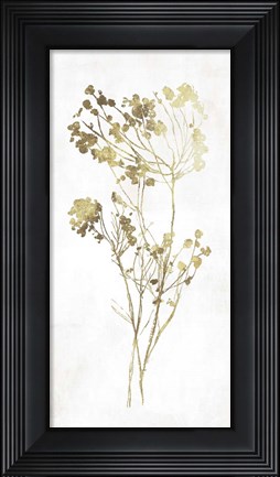 Framed Gold Botanical II Print