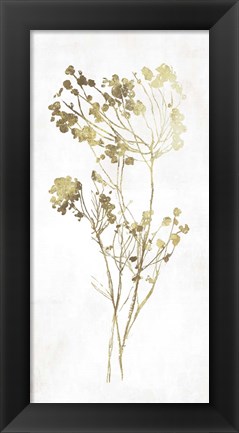 Framed Gold Botanical II Print