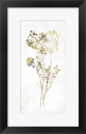 Framed Gold Botanical II Print