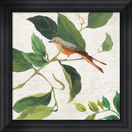 Framed Singing Bird I Print