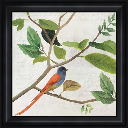 Framed Singing Bird II Print