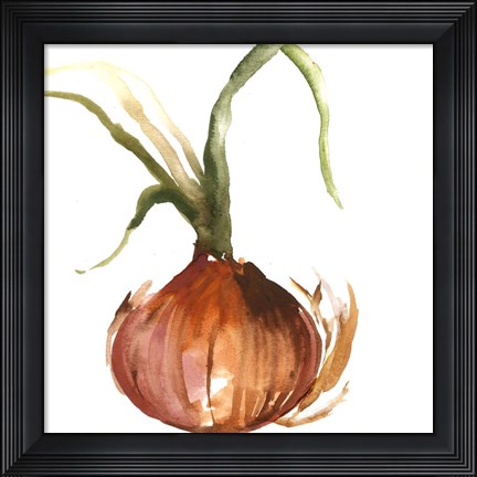 Framed Onion Print