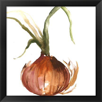 Framed Onion Print