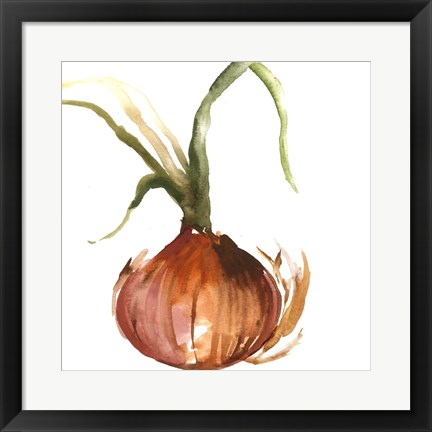 Framed Onion Print