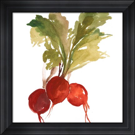 Framed Radish Print