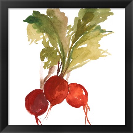 Framed Radish Print