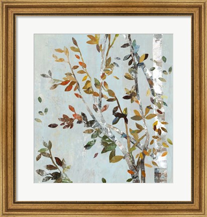 Framed Birch with Leaves II Print