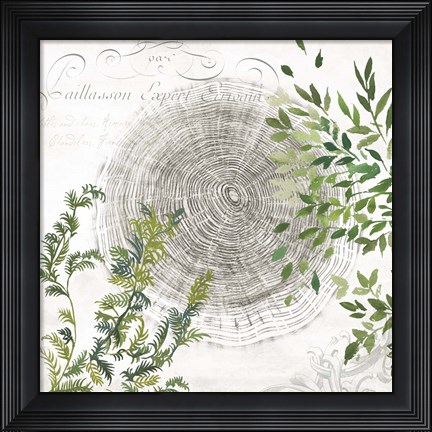 Framed Eco I Print