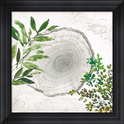 Framed Eco II Print