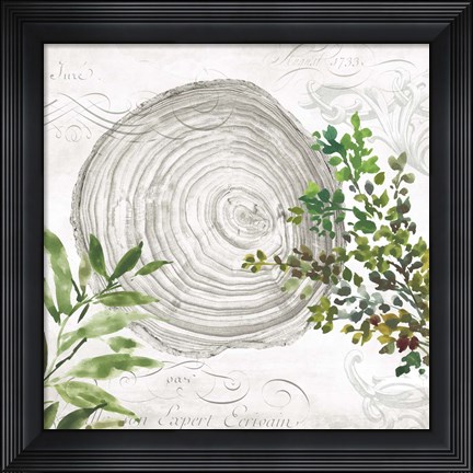 Framed Eco III Print