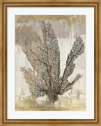 Framed Coral Splendor I Print