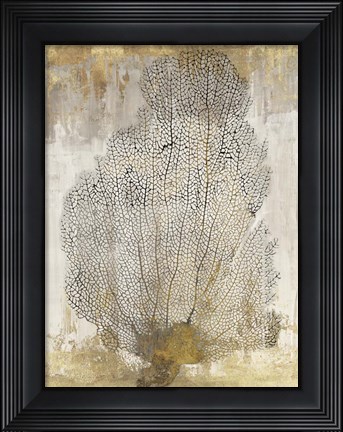 Framed Coral Splendor II Print
