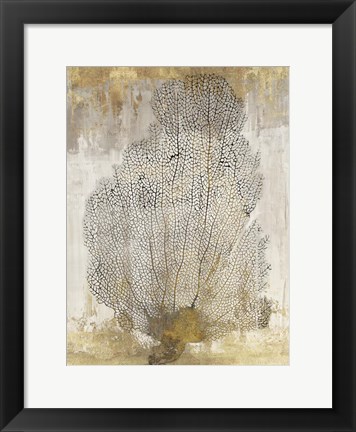 Framed Coral Splendor II Print