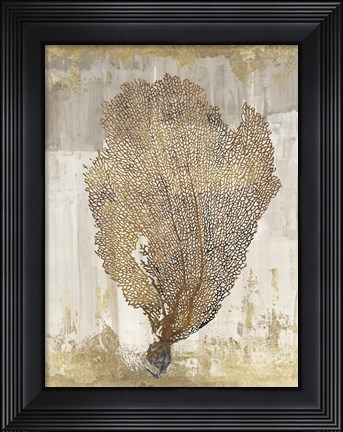 Framed Coral Splendor III Print