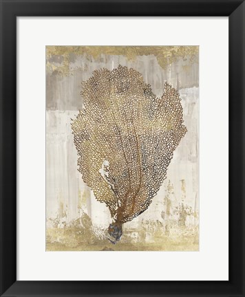 Framed Coral Splendor III Print