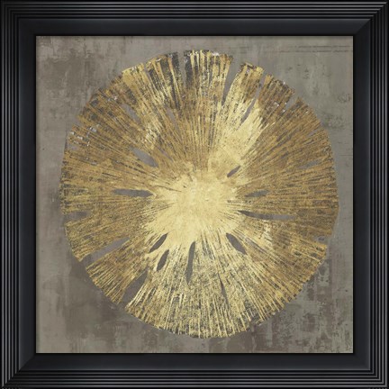 Framed Sand Dollar IA Print