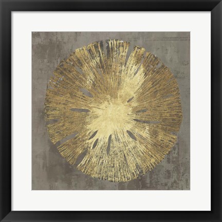 Framed Sand Dollar IA Print