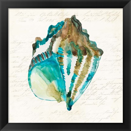 Framed Shell Print