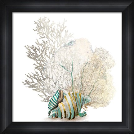 Framed Coral II Print