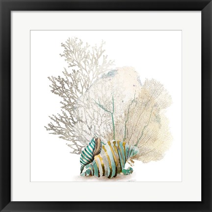 Framed Coral II Print