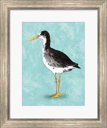 Framed Seashore Bird III Print