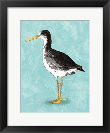 Framed Seashore Bird III Print