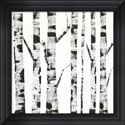 Framed White Birch Print