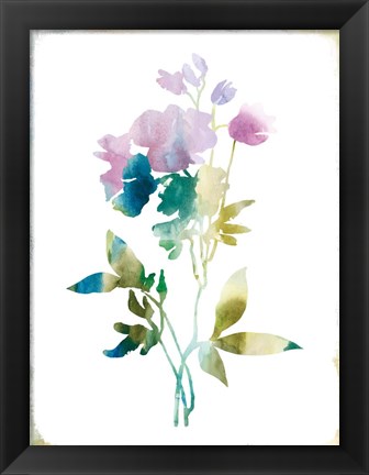Framed Summer Botanical II Print