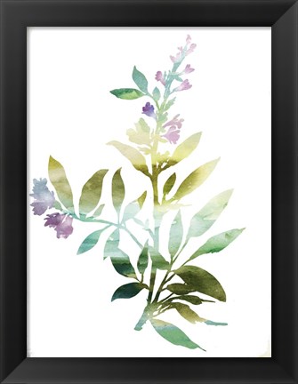 Framed Summer Botanical III Print