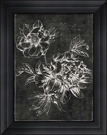 Framed Black Botanical I Print
