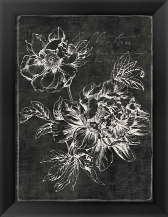 Framed Black Botanical I Print