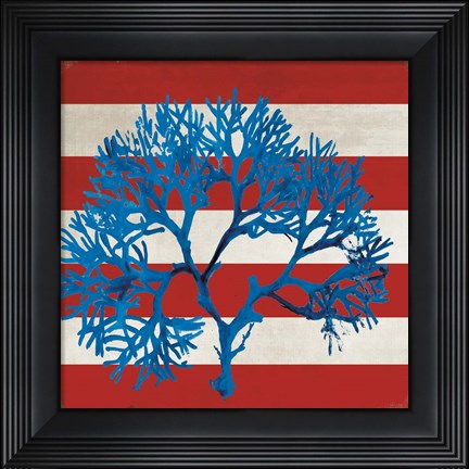 Framed Marine Coral I Print