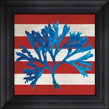 Framed Marine Coral II Print