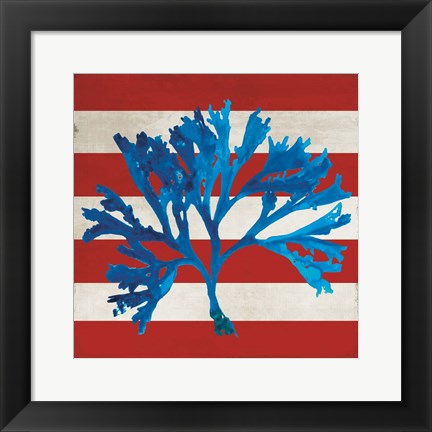 Framed Marine Coral II Print