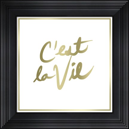Framed C&#39;est La Vie Border Print
